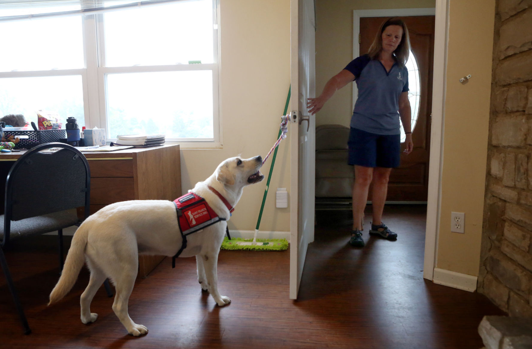 St. Francis Service Dogs